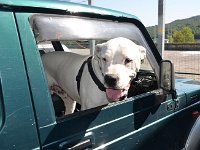 Raduno 4X4 26-07-2015 (21)